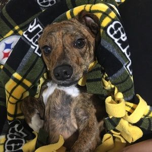 Meet your Posher, Reanne